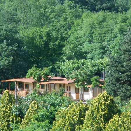 Campeggio Pian Dei Boschi Pietra Ligure Exterior photo